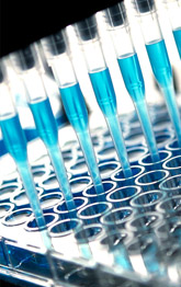 Guild BioSciences