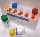 Protein Fractionation Kits